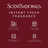 image:imageScentSationals Warm Apple Pie Scented Fall Fragrance Oil Refills 3PackSpiced Berry Crumble