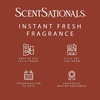 image:imageScentSationals Warm Apple Pie Scented Fall Fragrance Oil Refills 3PackWarm Apple Pie