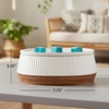image:imageScentSationals Wooded Dream  Modern Wax Warmer for Scented Wax Melts