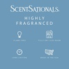 image:imageScentsationals Cotton Blossom  Fresh Cotton Scent Wax Melts 10oz24 CubesCotton Blossom