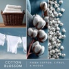 image:imageScentsationals Cotton Blossom  Fresh Cotton Scent Wax Melts 10oz24 CubesCotton Blossom