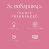 image:imageScentsationals Cotton Blossom  Fresh Cotton Scent Wax Melts 10oz24 CubesPerfect Day