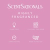 image:imageScentsationals Sweet Berry Cupcake Scented Wax Melts 10oz 24 CubesCotton Candy Cloud