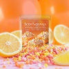 image:imageScentsationals Sweet Berry Cupcake Scented Wax Melts 10oz 24 CubesMarshmallow Crispies