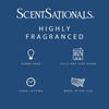 image:imageScentsationals Vanilla Bean Scented Wax Melts 10oz 24 Cubes