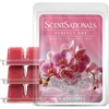 image:imageScentsationals Cotton Blossom  Fresh Cotton Scent Wax Melts 10oz24 CubesPerfect Day