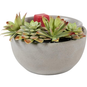 image:imageScentSationals Succulent Bowl  Boho Wax Warmer for Scented Wax Melts