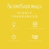 image:imageScentSationals Go Bananas Banana Scented Wax Melts 10oz 24 CubesGo Bananas