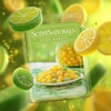 image:imageScentSationals Go Bananas Banana Scented Wax Melts 10oz 24 CubesSour Bursts