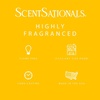 image:imageScentSationals Go Bananas Banana Scented Wax Melts 10oz 24 CubesSour Bursts