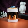 image:imageScentSationals Honeycomb Capiz  Modern Wax Warmer for Scented Wax MeltsCressida