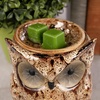 image:imageScentSationals Spotted Owl  Decorative Wax Warmer for Scented Wax Melts