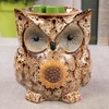 image:imageScentSationals Spotted Owl  Decorative Wax Warmer for Scented Wax Melts
