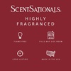 image:imageScentsationals Red Hot Cinnamon Scented Christmas Wax Melts 10oz 24 Cubes
