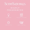 image:imageScentsationals Spicy Hots Cinnamon Scented Wax Melts 10oz 24 CubesCandy Bracelets