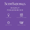 image:imageScentsationals Spicy Hots Cinnamon Scented Wax Melts 10oz 24 CubesGrape Candy