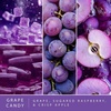 image:imageScentsationals Spicy Hots Cinnamon Scented Wax Melts 10oz 24 CubesGrape Candy