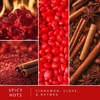 image:imageScentsationals Spicy Hots Cinnamon Scented Wax Melts 10oz 24 CubesSpicy Hots