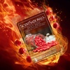 image:imageScentsationals Spicy Hots Cinnamon Scented Wax Melts 10oz 24 CubesSpicy Hots