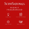 image:imageScentsationals Spicy Hots Cinnamon Scented Wax Melts 10oz 24 CubesSpicy Hots