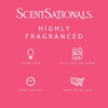 image:imageScentsationals Spicy Hots Cinnamon Scented Wax Melts 10oz 24 CubesTropical Gummies