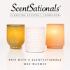 image:imageScentsationals Spicy Hots Cinnamon Scented Wax Melts 10oz 24 CubesTropical Gummies
