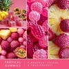 image:imageScentsationals Spicy Hots Cinnamon Scented Wax Melts 10oz 24 CubesTropical Gummies