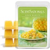 image:imageScentSationals Go Bananas Banana Scented Wax Melts 10oz 24 CubesSour Bursts