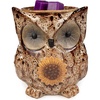 image:imageScentSationals Spotted Owl  Decorative Wax Warmer for Scented Wax Melts