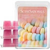 image:imageScentsationals Spicy Hots Cinnamon Scented Wax Melts 10oz 24 CubesCandy Bracelets