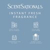 image:imageScentSationals Audrey Decor Heater Plugin  Decorative Wall Plugin for Fragrance Oil Refills