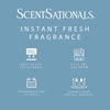 image:imageScentSationals DualRefill Air Freshener Unit  Mix or Match Fragrances 4 Strength Settings Corded Compatible with ScentSationals Fragrance Oil Refills