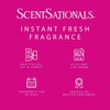 image:imageScentSationals Magic Spell  Cherry Scented Fragrance Oil Refills 3PackGirlfriend Night