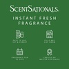 image:imageScentSationals Magic Spell  Cherry Scented Fragrance Oil Refills 3PackHoneysuckle Pineapple