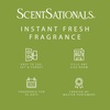 image:imageScentSationals Magic Spell  Cherry Scented Fragrance Oil Refills 3PackLemon Lime Fizz