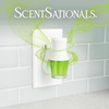 image:imageScentSationals Magic Spell  Cherry Scented Fragrance Oil Refills 3PackLemon Lime Fizz
