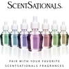 image:imageScentSationals Petal Plugin Air Freshener Oil Diffuser 2 Pack