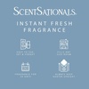 image:imageScentSationals Smile Every Day Decor Heater Plugin  Decorative Wall Plugin for Fragrance Oil Refills