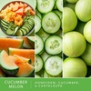 image:imageScentSationals Strawberries amp Cream Scented Wax Melts 10oz 24 CubesCucumber Melon