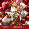 image:imageScentSationals Strawberries amp Cream Scented Wax Melts 10oz 24 CubesStrawberries  Cream