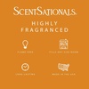 image:imageScentSationals Watermelon Sugar Scented Wax Melts 10oz 24 CubesGolden Apple