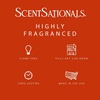 image:imageScentSationals Watermelon Sugar Scented Wax Melts 10oz 24 CubesMolten Orange