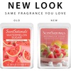 image:imageScentSationals Watermelon Sugar Scented Wax Melts 10oz 24 CubesWatermelon Sugar