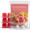 Watermelon Sugar