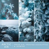 image:imageScentSationals Arctic Air  Fresh Air Scented Fragrance Oil Refills 3Pack
