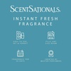 image:imageScentSationals Eucalyptus amp Sea Salt Scented Fragrance Oil Refills 3Pack