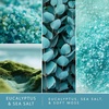 image:imageScentSationals Eucalyptus amp Sea Salt Scented Fragrance Oil Refills 3Pack