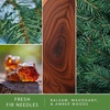 image:imageScentSationals Fresh Fir Needles  Balsam Fragrance Oil Refills 3Pack