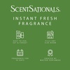 image:imageScentSationals Fresh Fir Needles  Balsam Fragrance Oil Refills 3Pack