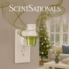 image:imageScentSationals Fresh Fir Needles  Balsam Fragrance Oil Refills 3Pack